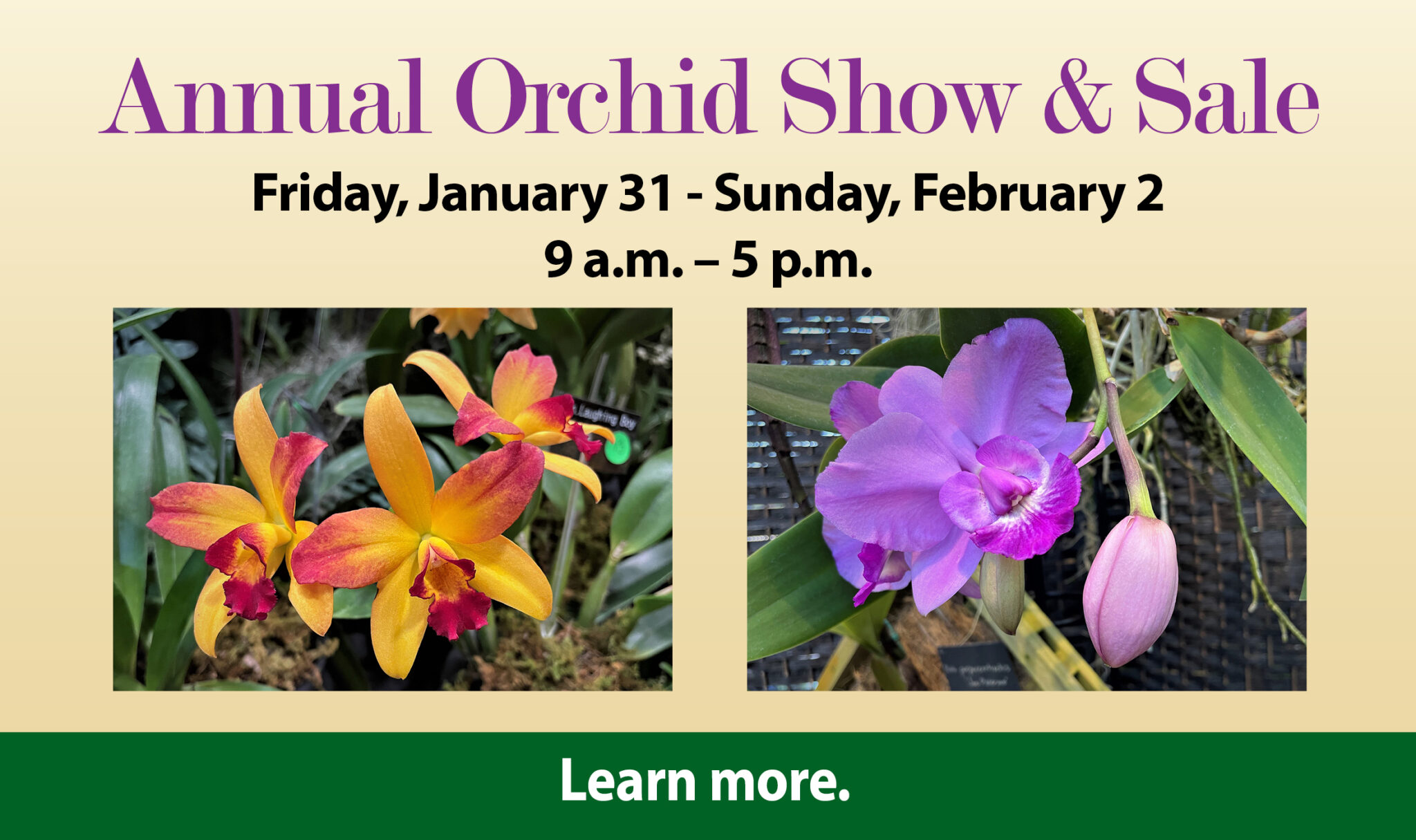 Butterfly Atrium - Hershey Gardens